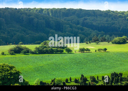 In Mozaieklandschap de Eifel, Mosaico paesaggio in Eifel, Foto Stock