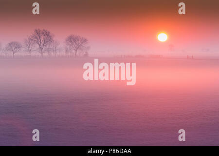 Zonsopkomst op de Hekkemieden, Sunrise a Hekkemieden Foto Stock