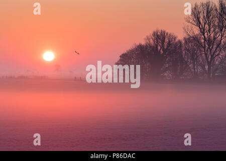 Zonsopkomst op de Hekkemieden, Sunrise a Hekkemieden Foto Stock
