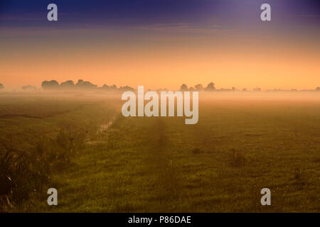 Zonsopkomst op de Hekkemieden, Sunrise a Hekkemieden Foto Stock