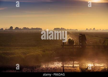 Zonsopkomst op de Hekkemieden, Sunrise a Hekkemieden Foto Stock