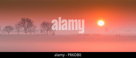 Zonsopkomst op de Hekkemieden, Sunrise a Hekkemieden Foto Stock