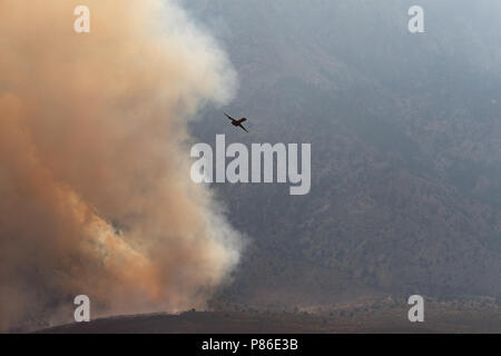 Alabama Hills, Lone Pine, CA. Luglio 8, 2018. Una petroliera di aria dopo la deposizione di ritardante del fuoco su Georges incendio in Alabama Hills a ovest di Lone Pine, CA in Eastern Sierra Nevadas. La causa è sotto inchiesta. Il fulmine era stato osservato nella zona. Fire equipaggi da Inyo National Forest, il Bureau of Land Management (BLM), CALFIRE, locali e i vigili del fuoco si battono contro il fuoco con assistenza da parte di navi cisterna per il trasporto di aria e gli elicotteri. Gli elicotteri sono il prelievo di acqua dalla vicina California aquaduct. Credito: Ironstring/Alamy Live News Foto Stock