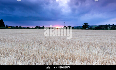 Un altro oggetto, Staffordshire, Regno Unito. Il sole tramonta su un campo di raccolto nella serata del 9 luglio 2018, a seguito di un altro umido giornata estiva durante la canicola. Foto Stock