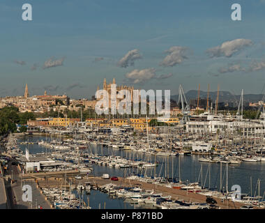 La cattedrale di Palma de Mallorca domina la città, visto dalla zona della marina. Foto Stock