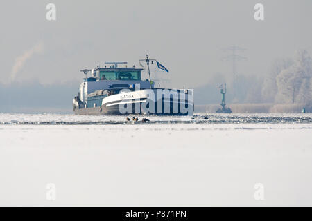 In Vrachtschip dicht gevroren Nijkerkernauw Nederland, nave da carico in frozen Nijkerkernauw Paesi Bassi Foto Stock