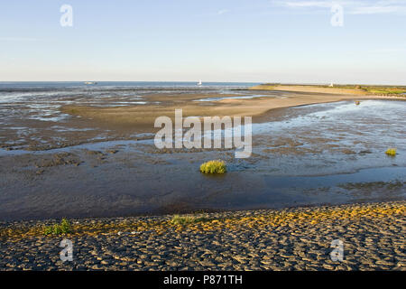 Waddenzee bij Den Oever; Waddensea a Den Oever Foto Stock