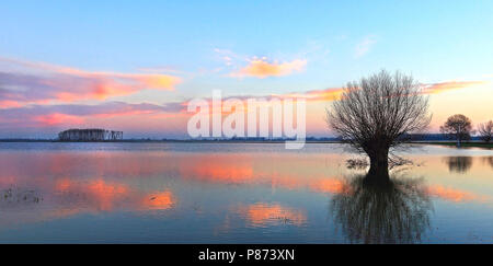 De Noordwaard è een voormalig landbouwgebied in de gemeente Werkendam. Na de werkzaamheden in het kader van Ruimte voor de Rivier veranderde een gro Foto Stock