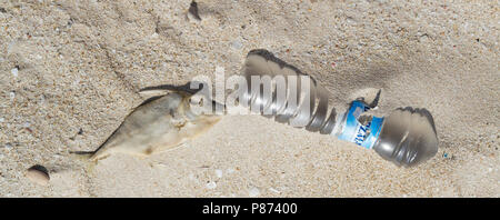 Rifiuti di plastica sulla spiaggia di Oman di Al Wusta governatorato. Foto Stock