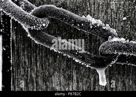 Bevroren schalmen, congelati maglie di catena Foto Stock