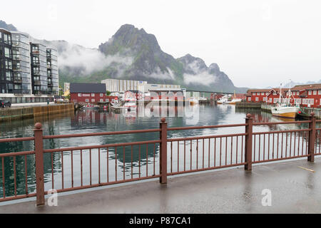 Svolvaer Harbour nelle isole Lofoten, Nordland, Norvegia Foto Stock