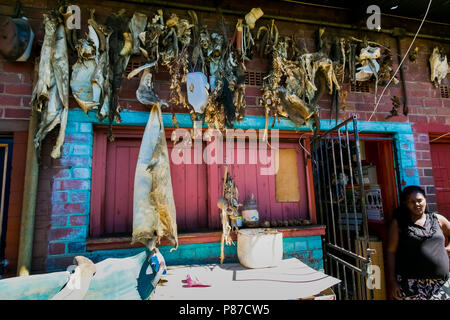 Johannesburg, Sud Africa, 23 aprile 2013, la medicina tradizionale mercatino di Johannesburg CBD Foto Stock