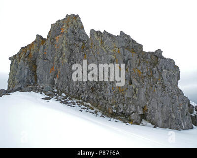 Scenario Half Moon Island, Antartide Foto Stock