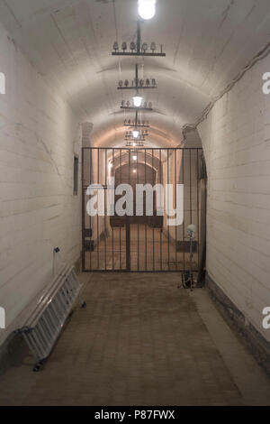 Tunnel in un bunker di calcestruzzo Foto Stock