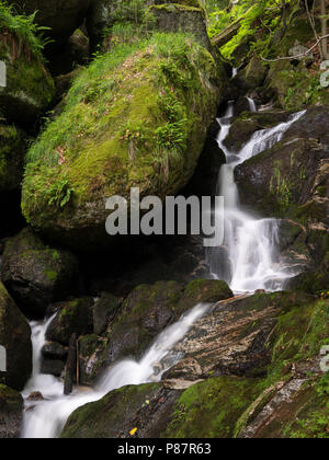 Cascata, cascata tra le grandi rocce nel burrone Ysperklamm (Waldviertel, Austria) Foto Stock