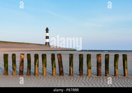 Legname groyne presso la spiaggia di Breskens con il faro in background Foto Stock