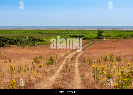 Vista su ,paludi a dunwich SUFFOLK REGNO UNITO Foto Stock