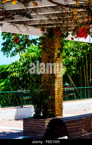 Primo piano su un bel pergolato coperto con piante rampicanti con fiori colorati, relax, architettura Foto Stock