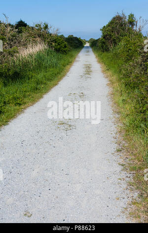 Shell path a Kwade Hoek in primavera Foto Stock