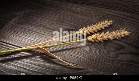 Due mature spighe di grano su un tavolo di legno. Triticum aestivum. Chiudere decorative di golden secco i picchi di cereali sul marrone vintage background. Foto Stock