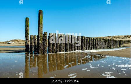 Poli Beach sulla spiaggia di Domburg, Paesi Bassi. Foto Stock