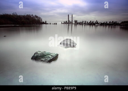 Oude palen bij Marderhoek, vecchi poli a Marderhoek Foto Stock