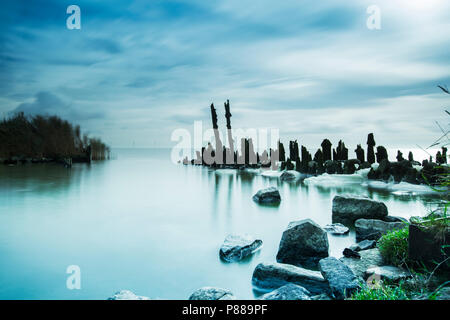 Oude palen bij Marderhoek, vecchi poli a Marderhoek Foto Stock