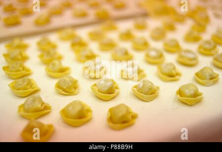 Selezione diversificata di lavorati a mano, tradizionale italiana (raw) crudo pasta sulla tavola, fatte con uova, farina, sale e acqua. Foto Stock