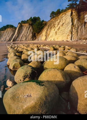 Palla da Bowling Beach, goletta Gulch parco statale, Mendocino County Costa, California Foto Stock