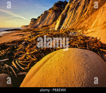 Palla da Bowling Beach, goletta Gulch State Beach, coste, Mendocino County, California Foto Stock