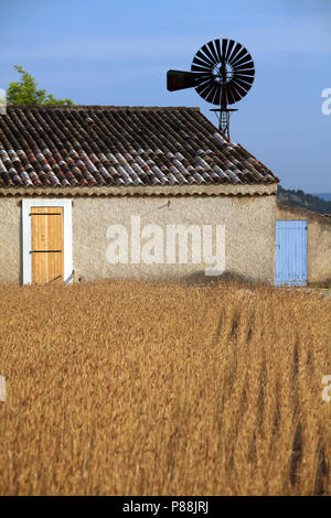 Il mulino a vento da una vecchia casa colonica nel campo di grano, Provence, Francia Foto Stock