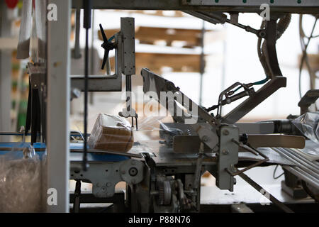 Linea industriale per il confezionamento di prodotti da forno. Confezionamento di pane in fabbrica.La macchina per il taglio e confezionamento in una fabbrica per la produzione Foto Stock