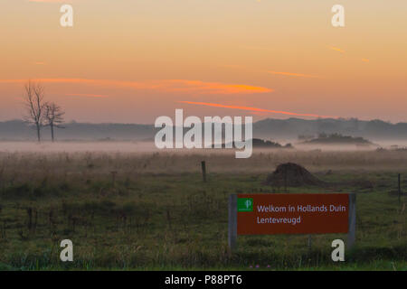 Bord van Staatsbosbeheer incontrato mistig Lentevreugd op achtergrond; segno di Staatsbosbeheer con misty Lentevreugd in background Foto Stock