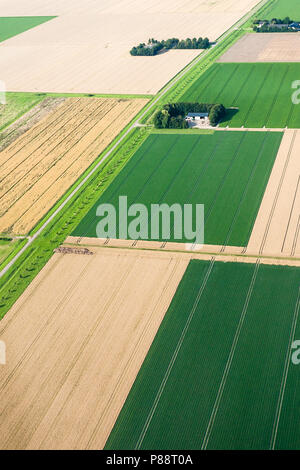 Luchtfoto van akkers; foto aerea di terreni agricoli Foto Stock