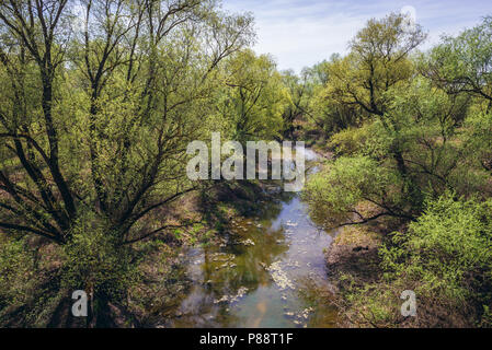 Fiume Morava visto dalla libertà ciclismo ponte tra la Slovacchia e Austria in Devinska Nova Ves, Bratislava Foto Stock