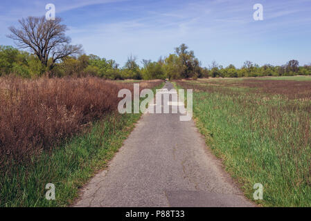 Pista ciclabile lungo il fiume Morava tra Slovacchia e Austria, vicino a Devinska Nova Ves, Bratislava Foto Stock