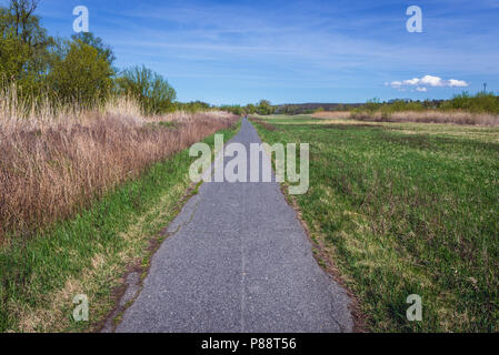 Pista ciclabile lungo il fiume Morava tra Slovacchia e Austria, vicino a Devinska Nova Ves, Bratislava Foto Stock