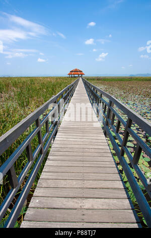 Ponte di legno sopra il lago di Sam Roi Yod National Park, Prachuap Khiri Khan, Thailandia Foto Stock