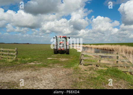 Trattore a Texel in primavera Foto Stock