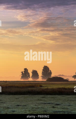 Zonsopkomst op de Hekkemieden, Sunrise a Hekkemieden Foto Stock