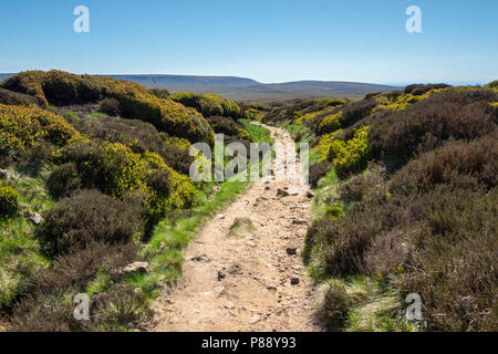 La Kinder Scout dal plateau del diavolo la diga sul del The Pennine Way, sull'altopiano Bleaklow sopra Glossop, Peak District, Derbyshire, Inghilterra, Regno Unito. Foto Stock