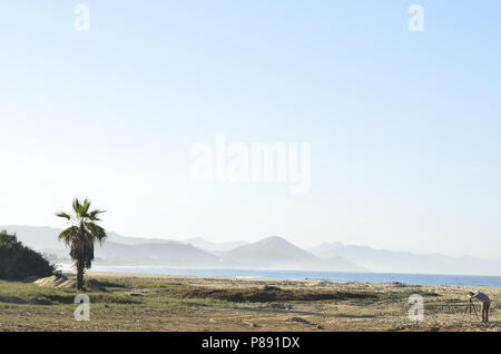 Cameraman con videocamera su Stativi treppiede tropicale sulla spiaggia di sabbia di Baja, Messico Foto Stock