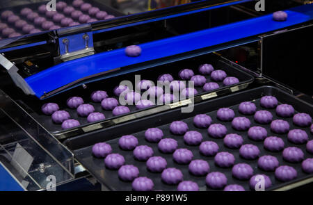 Divisore di impasto e rotonda palla di impasto rendendo la macchina Foto Stock