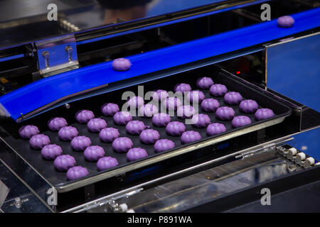 Divisore di impasto e rotonda palla di impasto rendendo la macchina Foto Stock