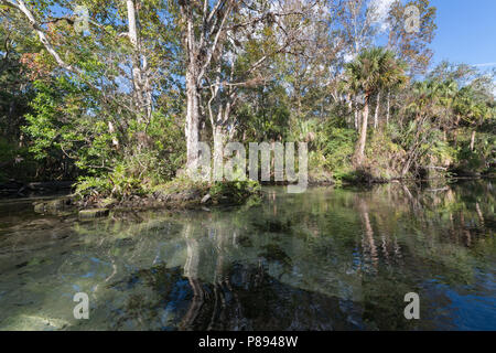 Chassahowitzka National Wildlife Refuge Foto Stock