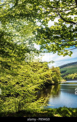 La luce nelle zone rurali del Derbyshire Raymond Boswell Foto Stock