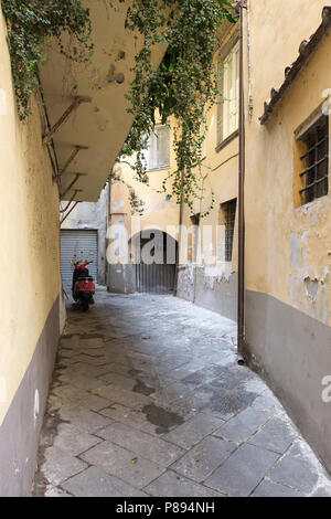 Vicolo del centro storico di Lucca, Toscana, Italia, Europa Foto Stock