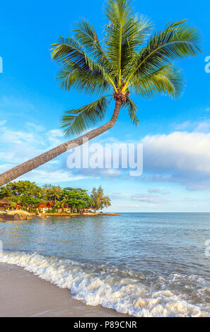 La natura di Koh Samui in Thailandia. Foto Stock