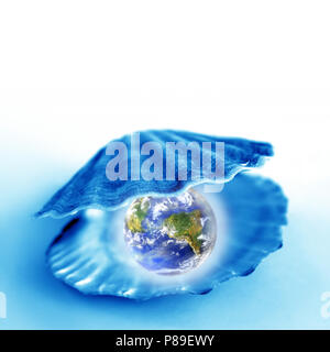 Immagine ravvicinata di un globo in un guscio Foto Stock