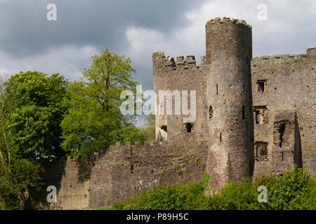 Vista di Laugharne Castello. Carmarthenshire, Galles. Maggio. Foto Stock